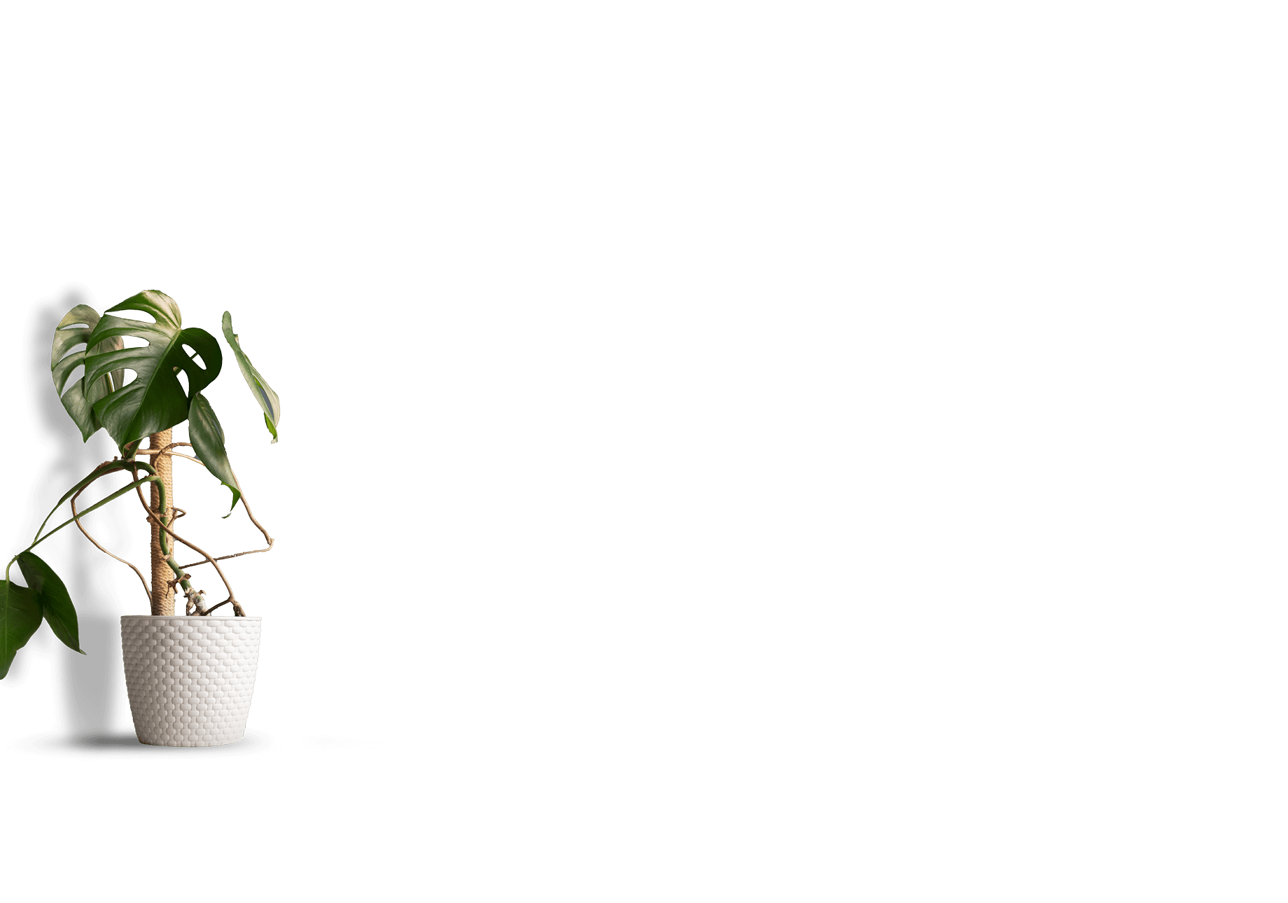Overlaag: Voorbeeld woonruimte met een Forrevo.com stalen deur